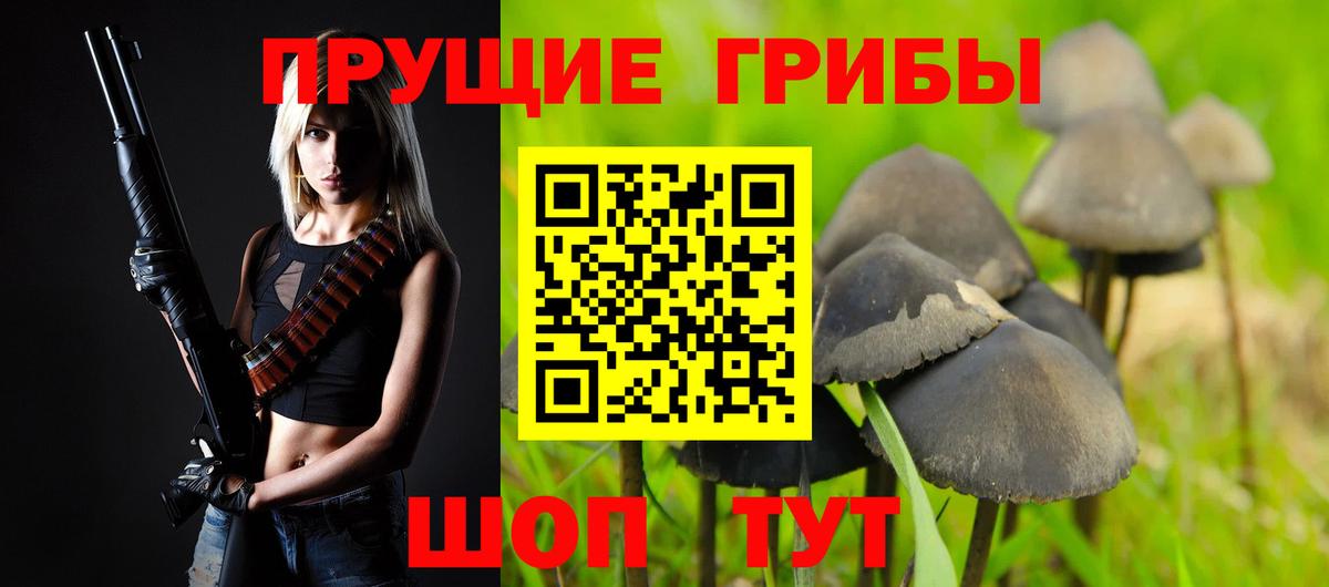 Псилоцибиновые грибы Psilocybine cubensis  Вход с VPN  Тимашёвск 