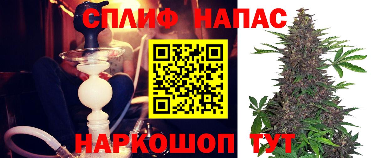 Конопля Bruce Banner Тимашёвск